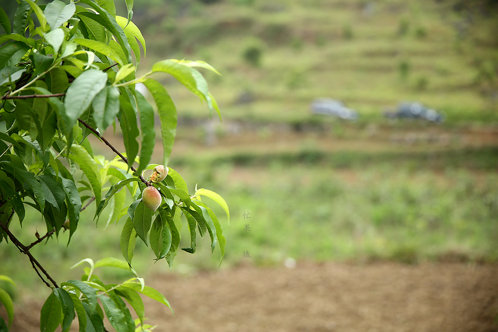 1S5A0143_副本.jpg