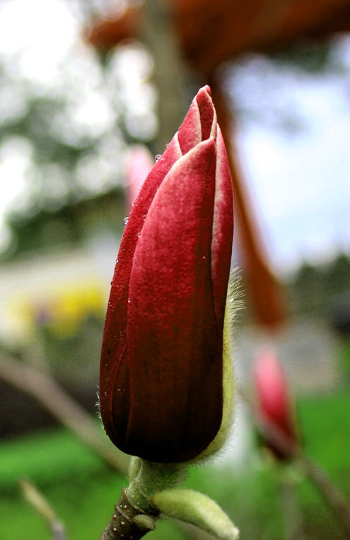 IMG_0003.JPG