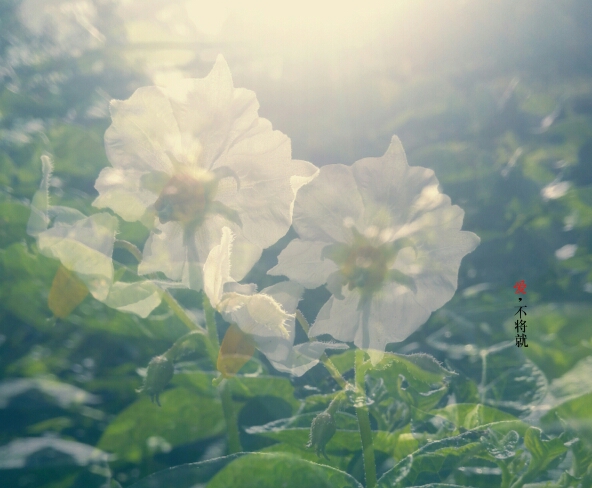 114729hmin02cbbnmtg52c.jpg