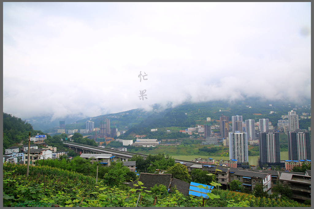 1S5A0292_副本.jpg