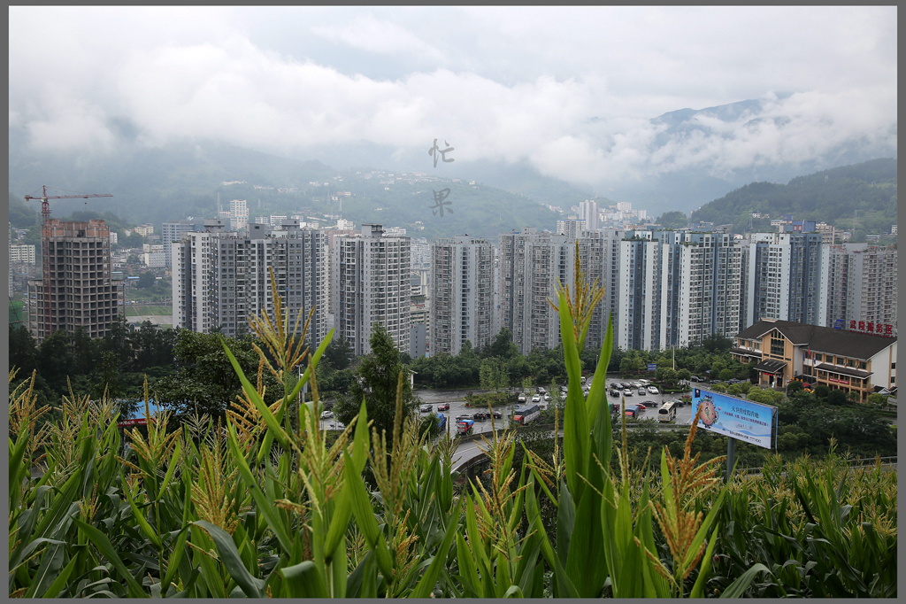 1S5A0297_副本.jpg