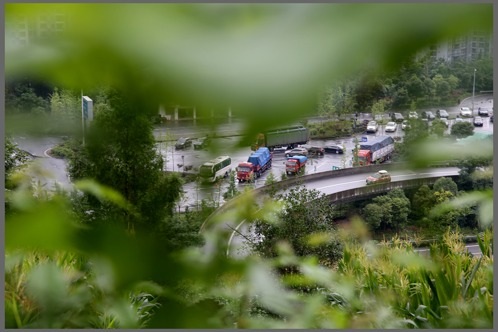1S5A0314_副本.jpg