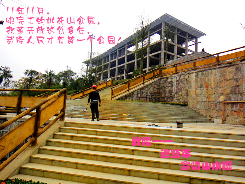 11.11.26DSC01189.JPG