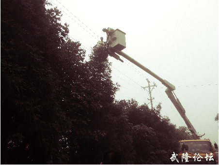 QQ图片20150812111155.png