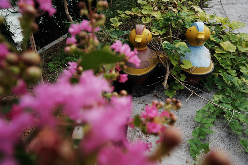 DSC06752_副本.jpg