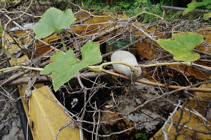DSC06773_副本.jpg