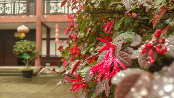 IMG_20150922_165032_副本.jpg