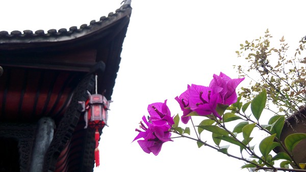 IMG_20150923_095553_副本.jpg