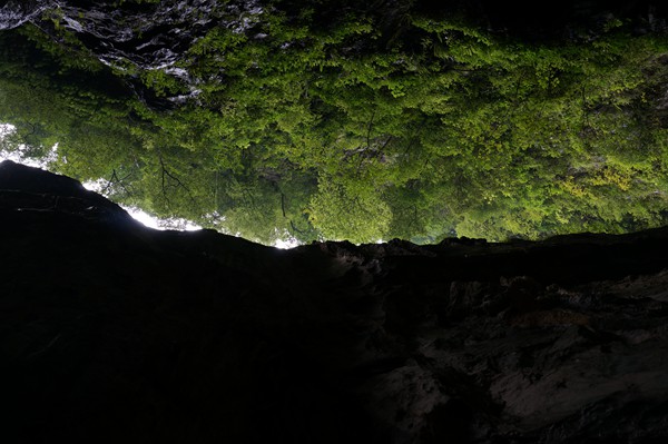 DSC07078_副本.jpg