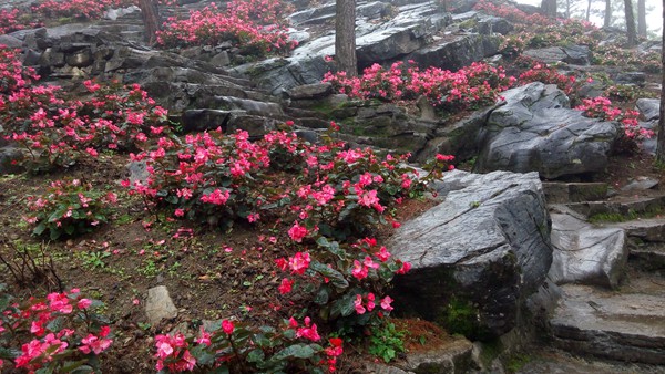 IMG_20150924_094246_副本.jpg