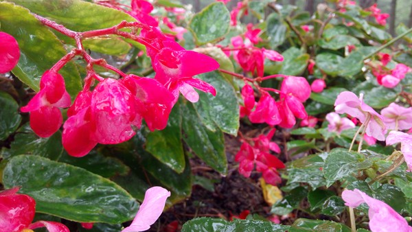 IMG_20150924_094828_副本.jpg