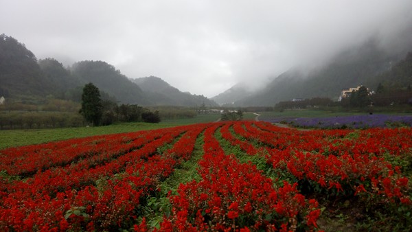 IMG_20150924_112743_副本.jpg