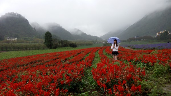 IMG_20150924_113238_副本.jpg