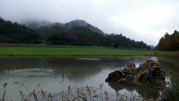 IMG_20150924_114026_副本.jpg