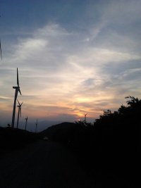psb (2).jpg