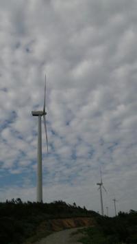 psb (7).jpg