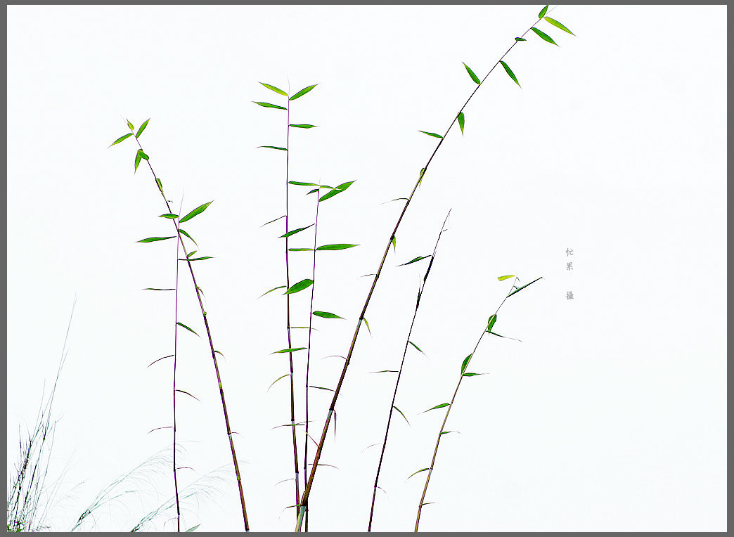 DSC07874_副本.jpg