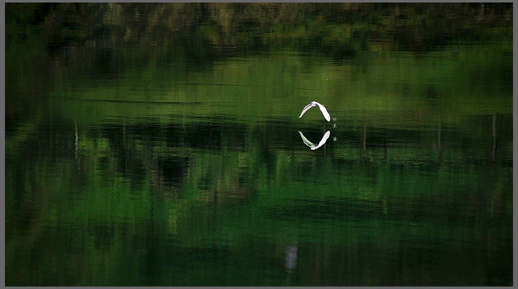 DSC07966_副本.jpg