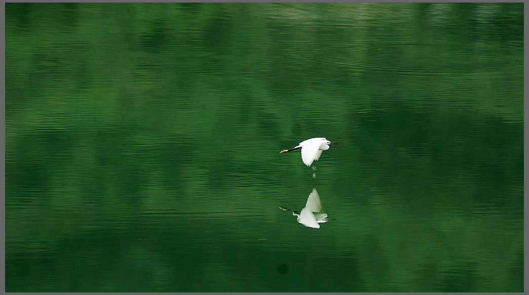 DSC07971_副本.jpg