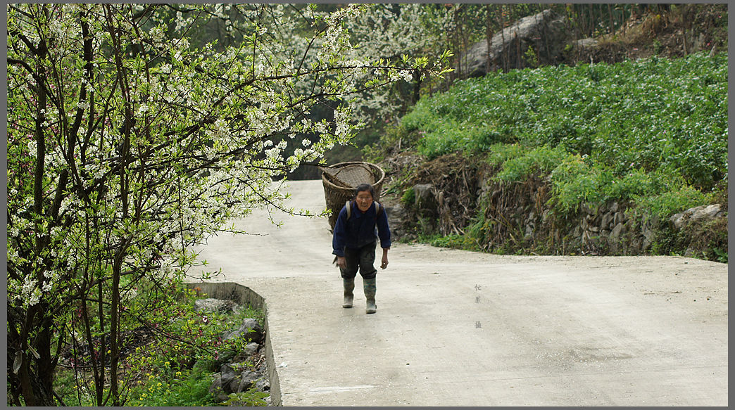 DSC00493_副本.jpg