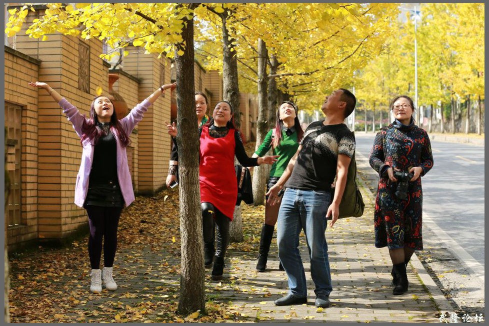 QQ图片20151108213410.jpg
