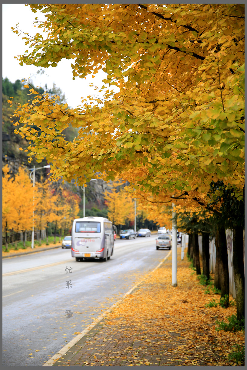 1S5A0556_副本.jpg
