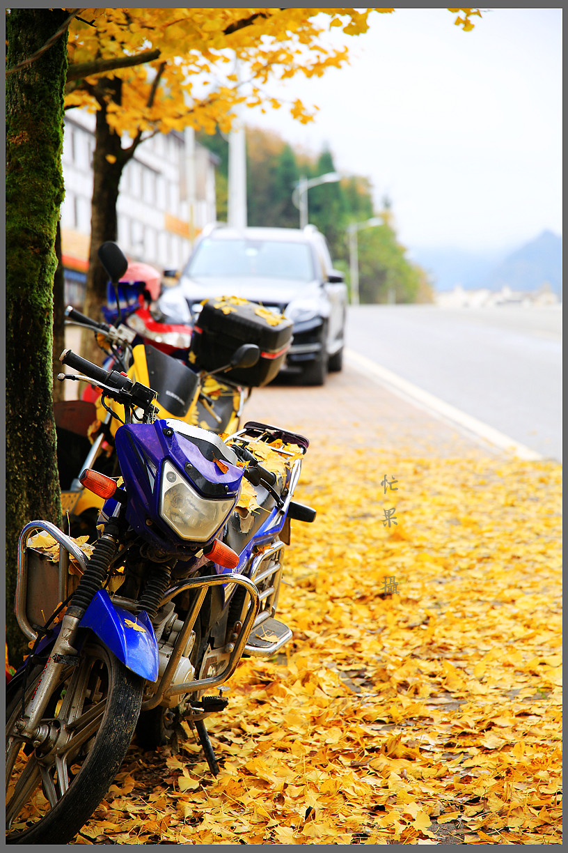 1S5A0552_副本.jpg