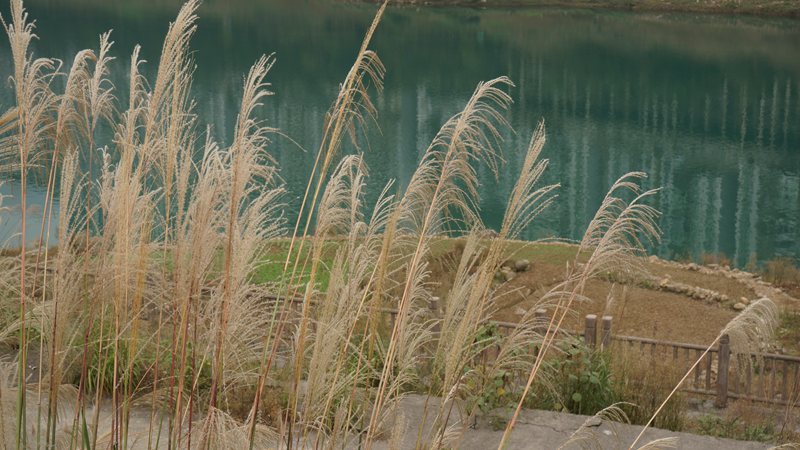 DSC08682_副本.jpg