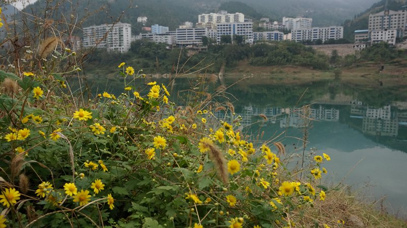 DSC08702_副本.jpg