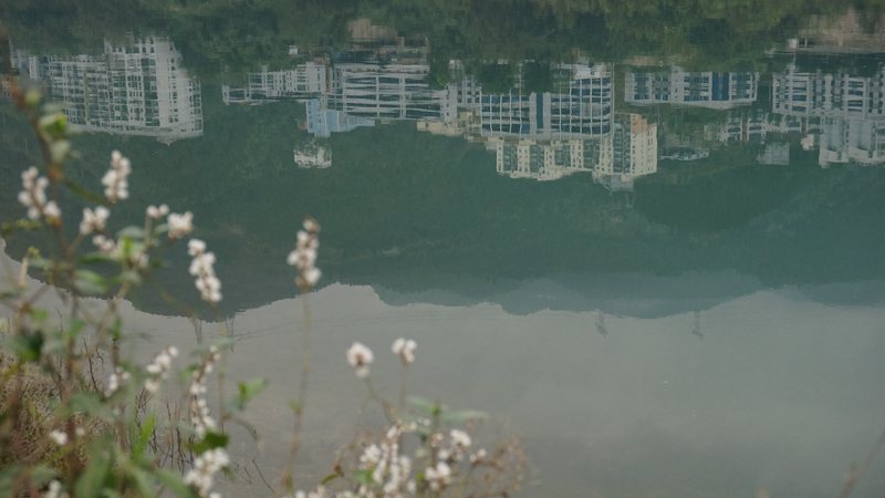 DSC08701_副本.jpg