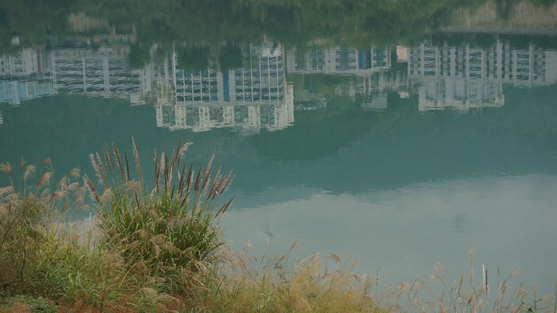 DSC08697_副本.jpg