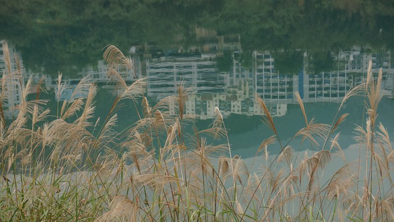 DSC08706_副本.jpg