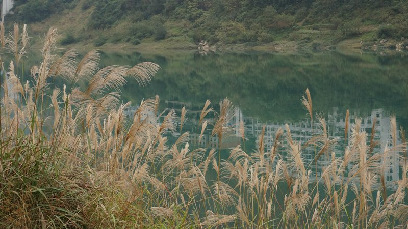 DSC08705_副本.jpg