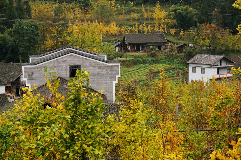 DSC08646_副本.jpg