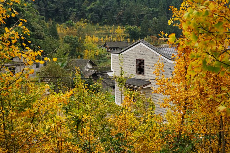 DSC08640_副本.jpg