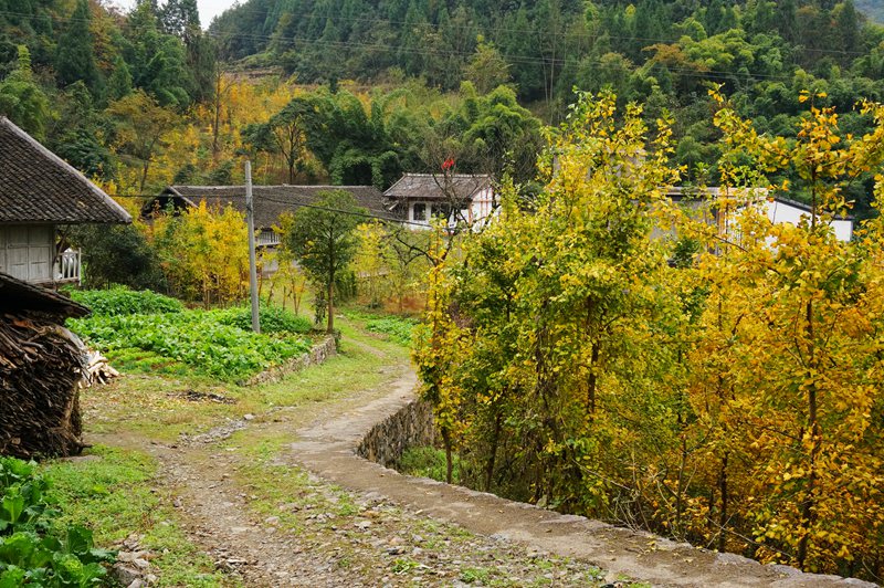 DSC08638_副本.jpg