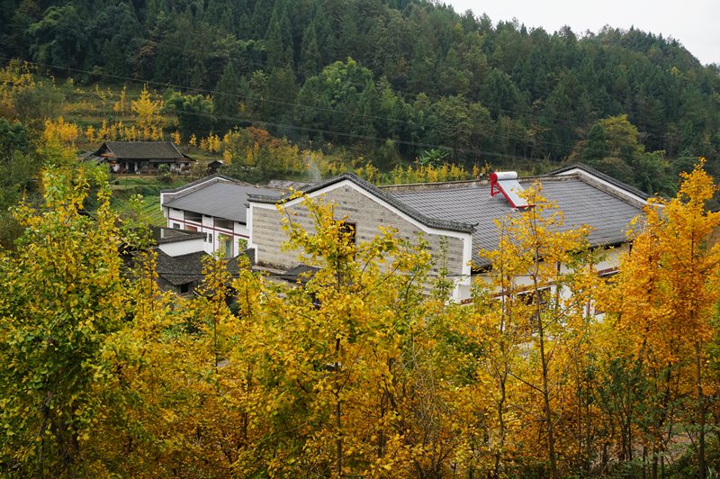 DSC08637_副本.jpg