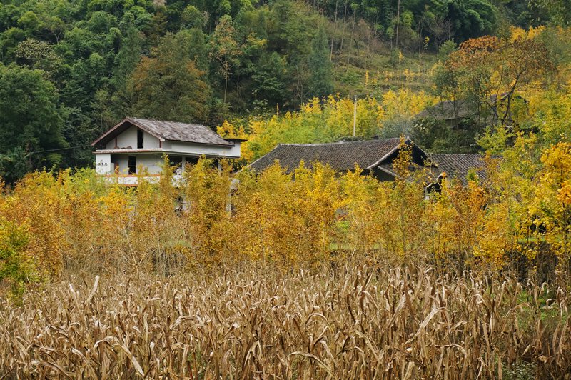 DSC08663_副本.jpg