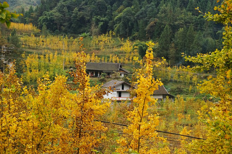 DSC08654_副本.jpg