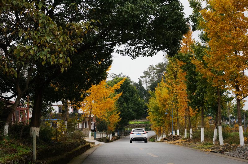 DSC08675_副本.jpg