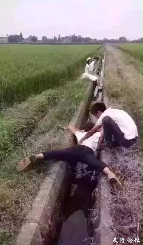 5dcbd71d656c91b1221a4fad9b007408.jpg