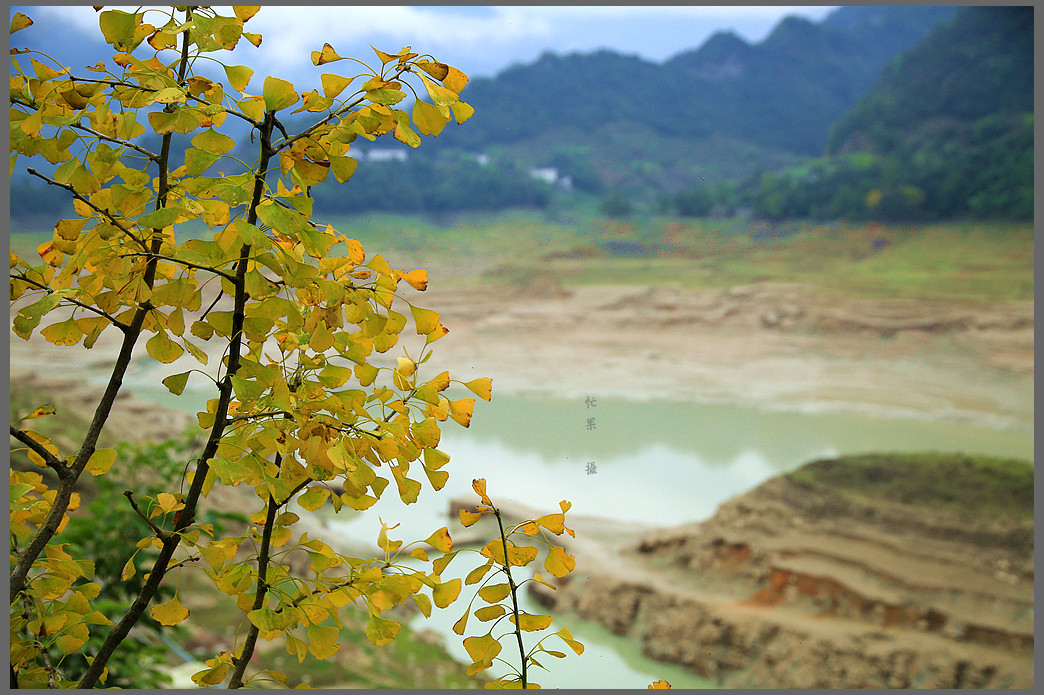 1S5A0825_副本.jpg