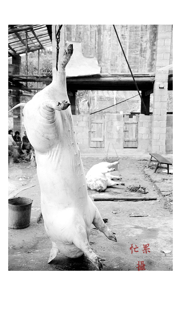 1S5A2220_副本.jpg