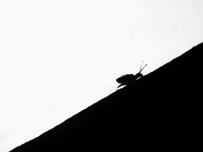 125603r0j2d4wj9v1d1j2h.jpg