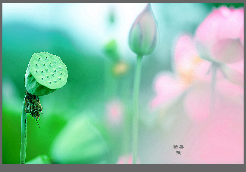 1S5A0403_副本.jpg