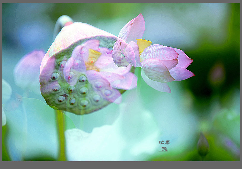 1S5A0404_副本.jpg