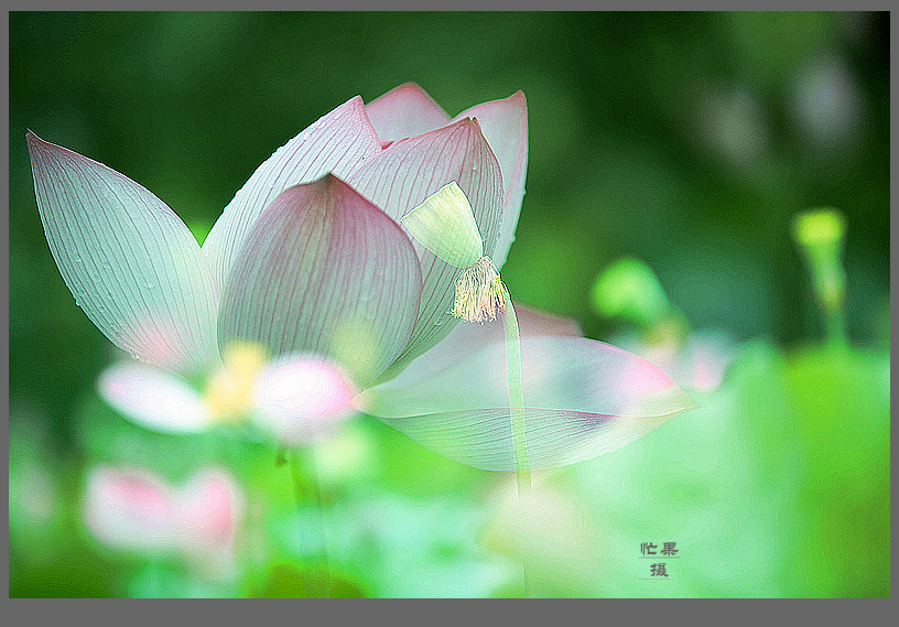 1S5A0417_副本.jpg