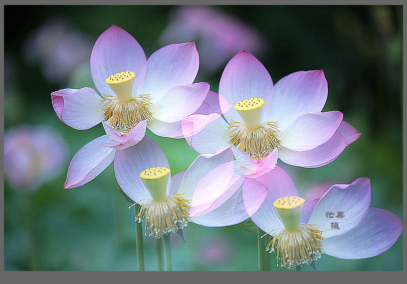 1S5A0537_副本.jpg