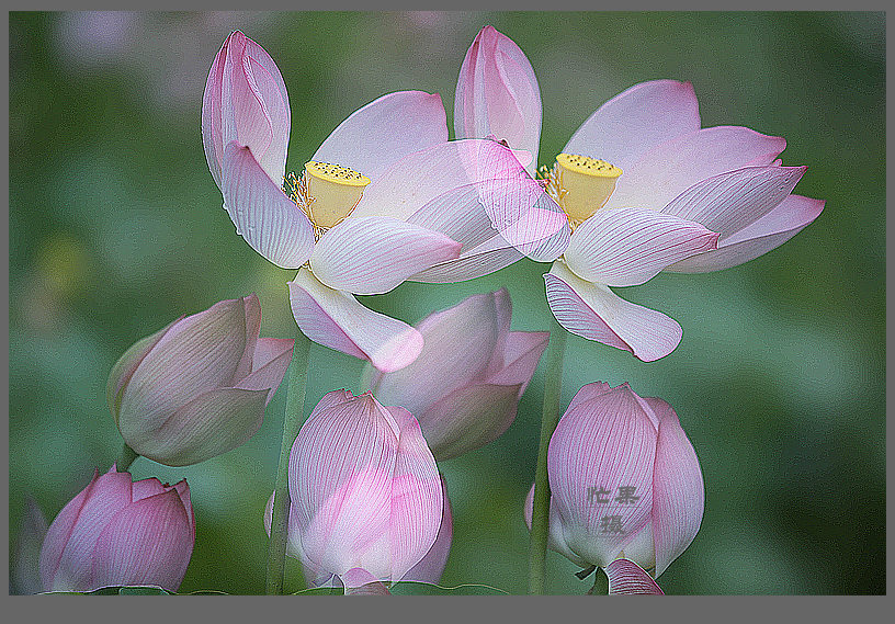 1S5A0538_副本.jpg