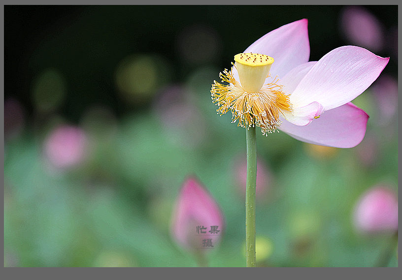 1S5A0548_副本.jpg